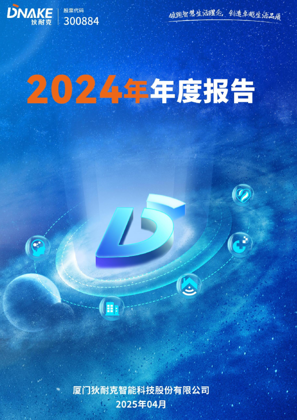 狄耐克：2024年年度报告