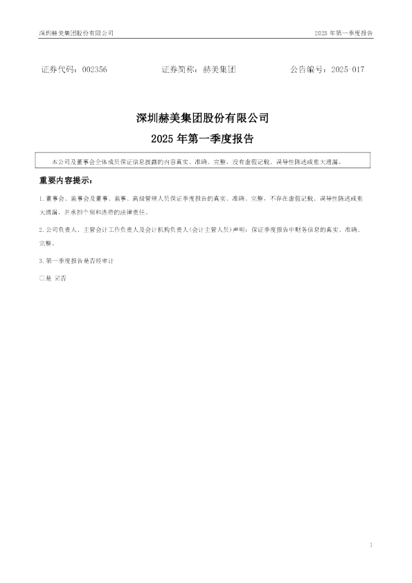 赫美集团：2025年一季度报告