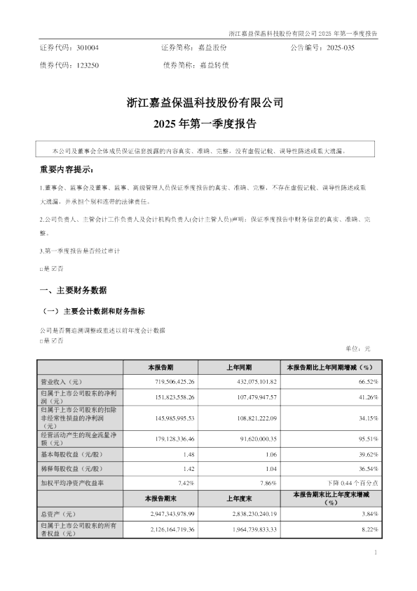 嘉益股份：2025年一季度报告