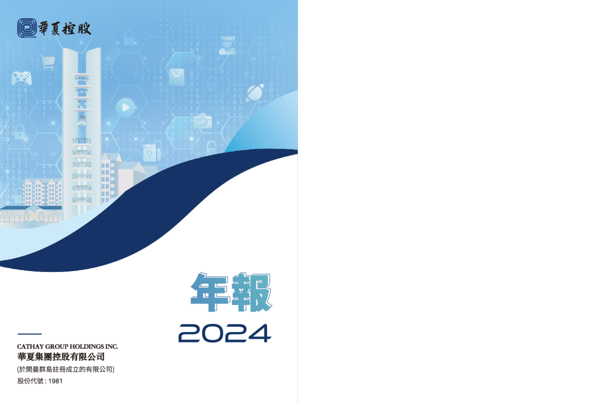 华夏控股2024 年年报