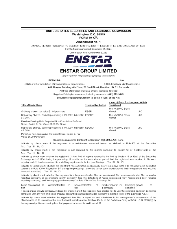 恩斯塔 2024年度报告