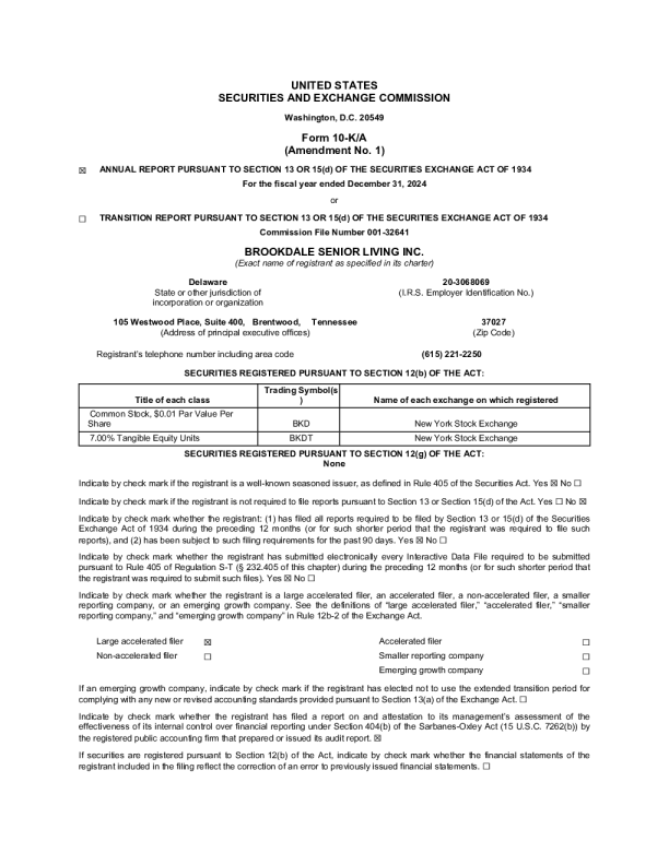 布鲁克代尔高级护理 2024年度报告