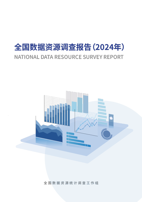 全国数据资源调查报告（2024年）