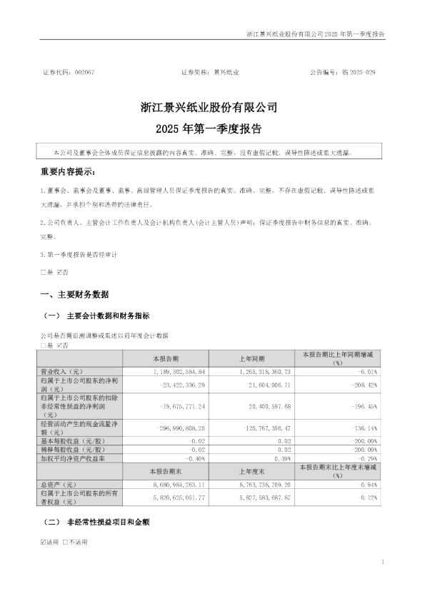 景兴纸业:2025年一季度报告
