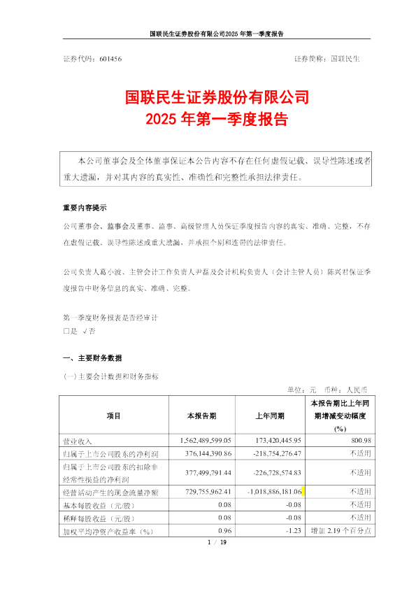 国联民生：国联民生证券股份有限公司2025年第一季度报告