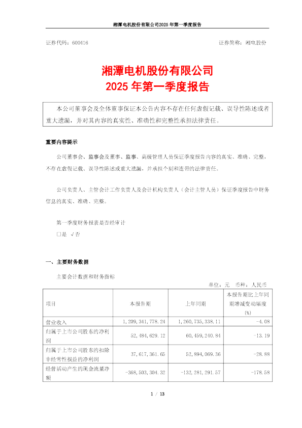 湘电股份:湘潭电机股份有限公司2025年第一季度报告