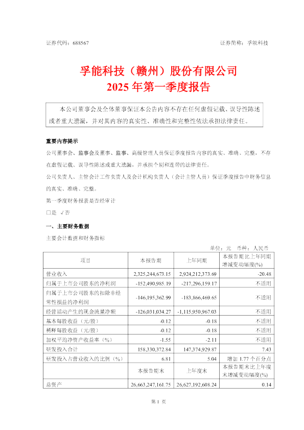 孚能科技2025年第一季度报告