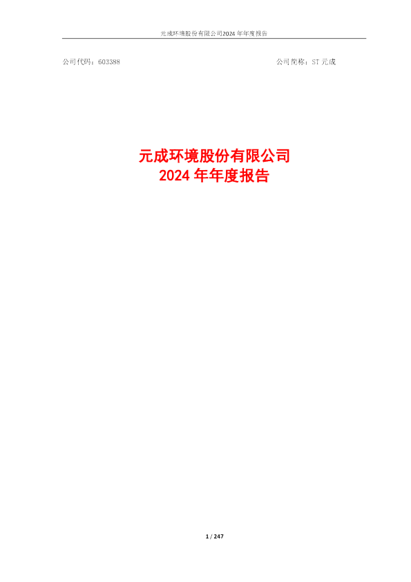 ST元成：元成环境股份有限公司2024年年度报告