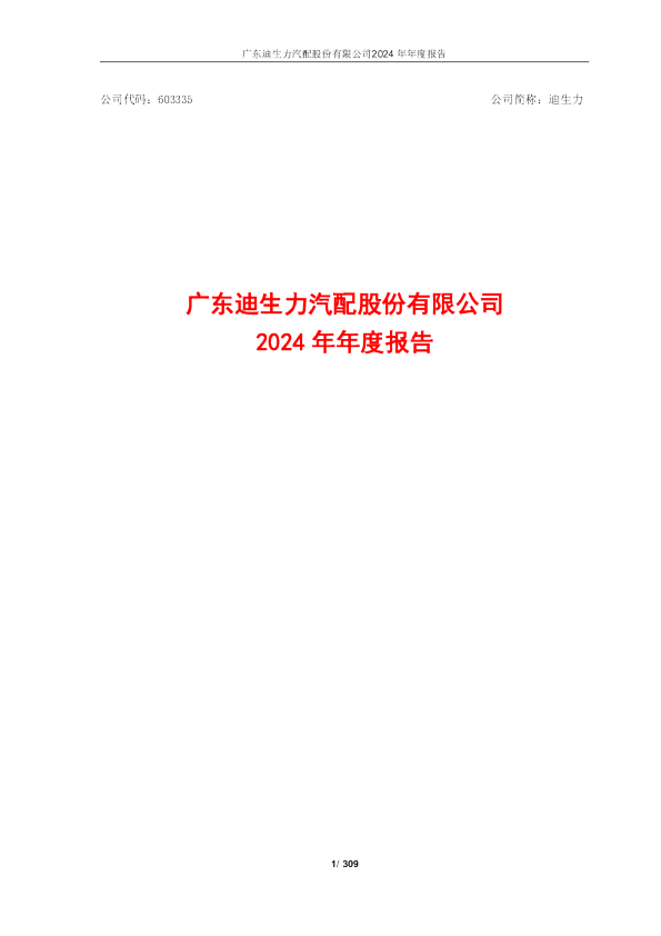 迪生力:迪生力2024年年度报告