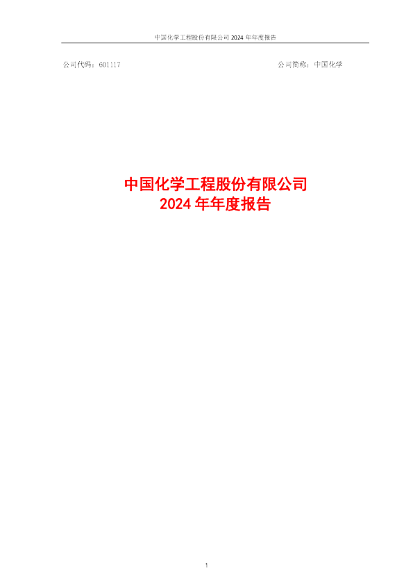 中国化学：中国化学2024年年度报告