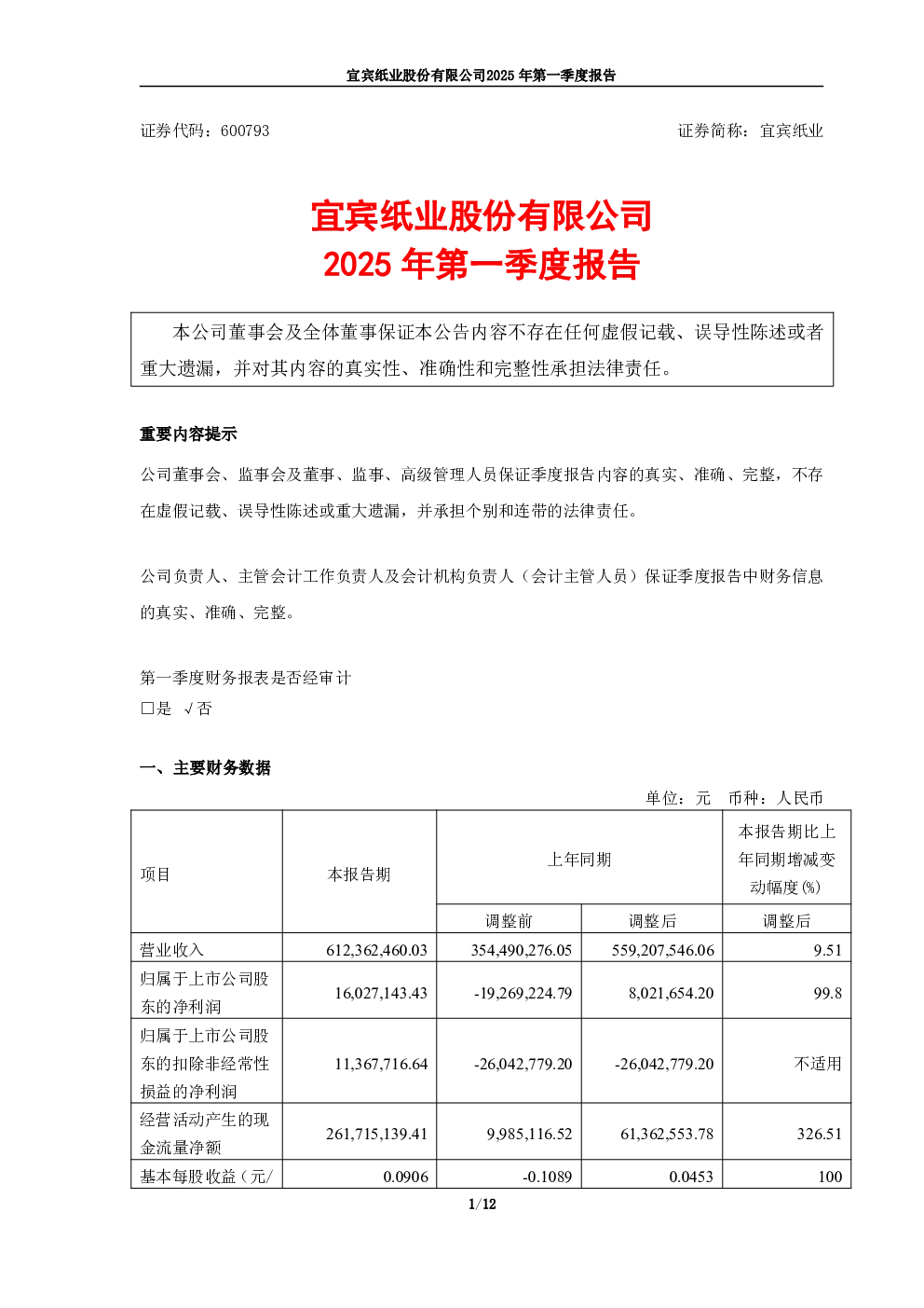 宜宾纸业：2025年第一季度报告