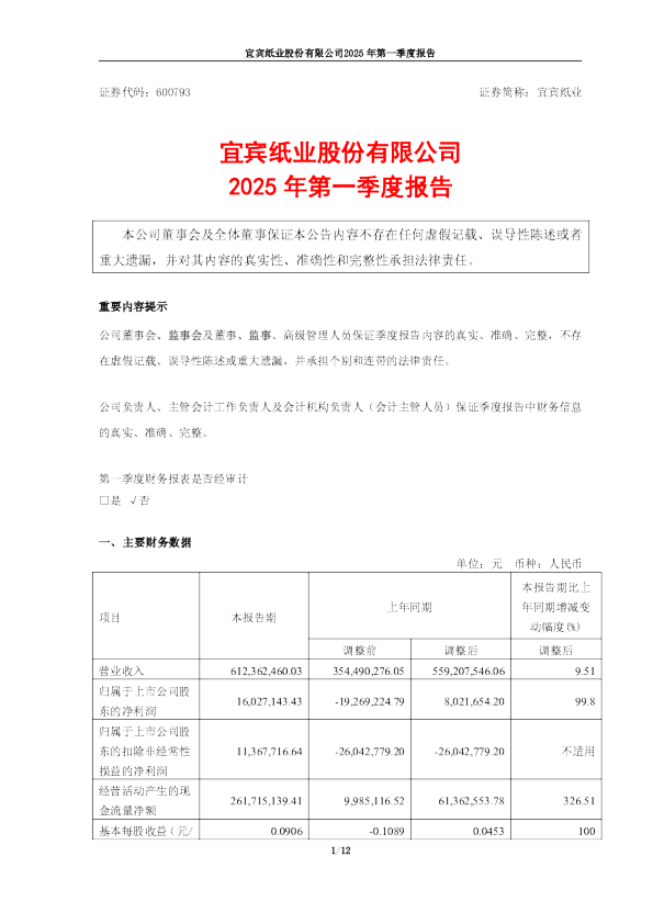 宜宾纸业:2025年第一季度报告