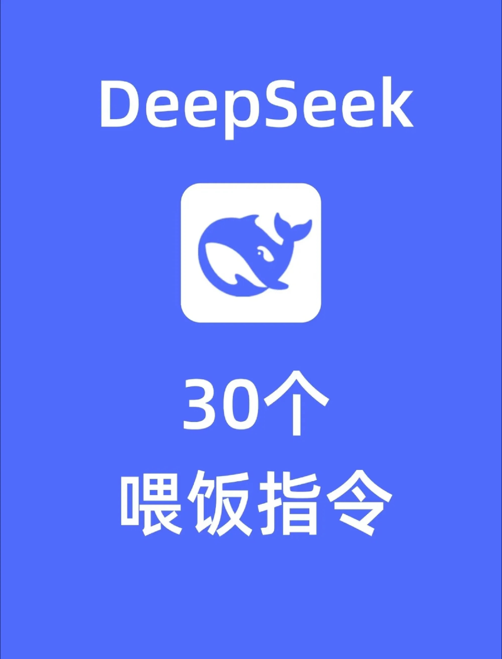 DeepSeek-30个喂饭指令