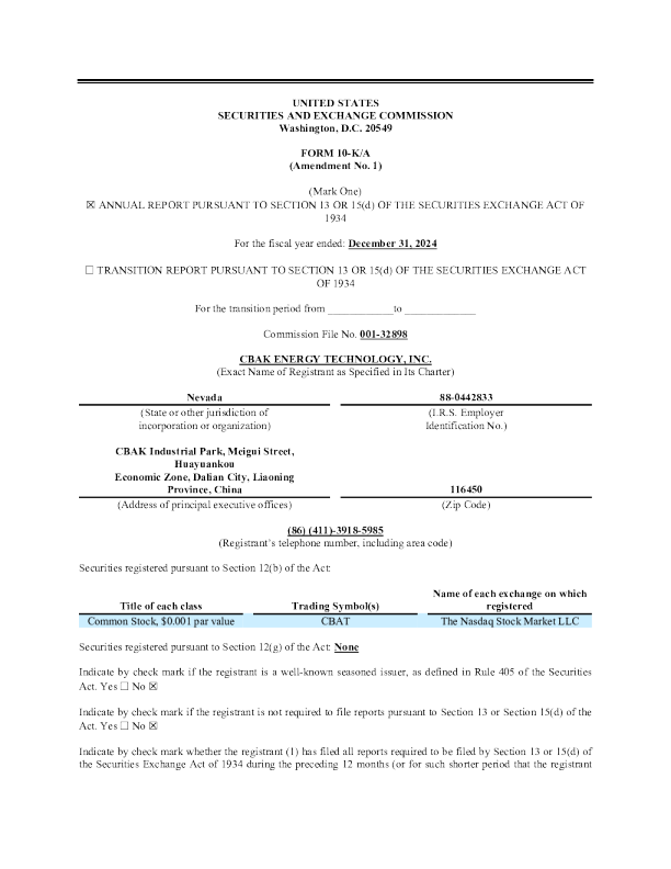 中比能源 2024年度报告
