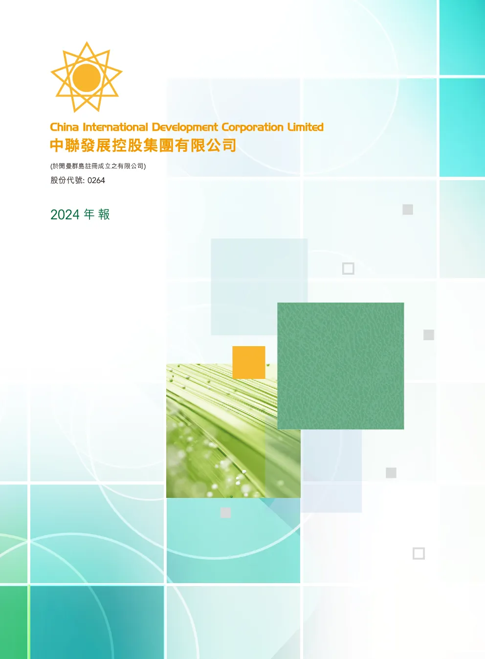 中联发展控股年报 2024