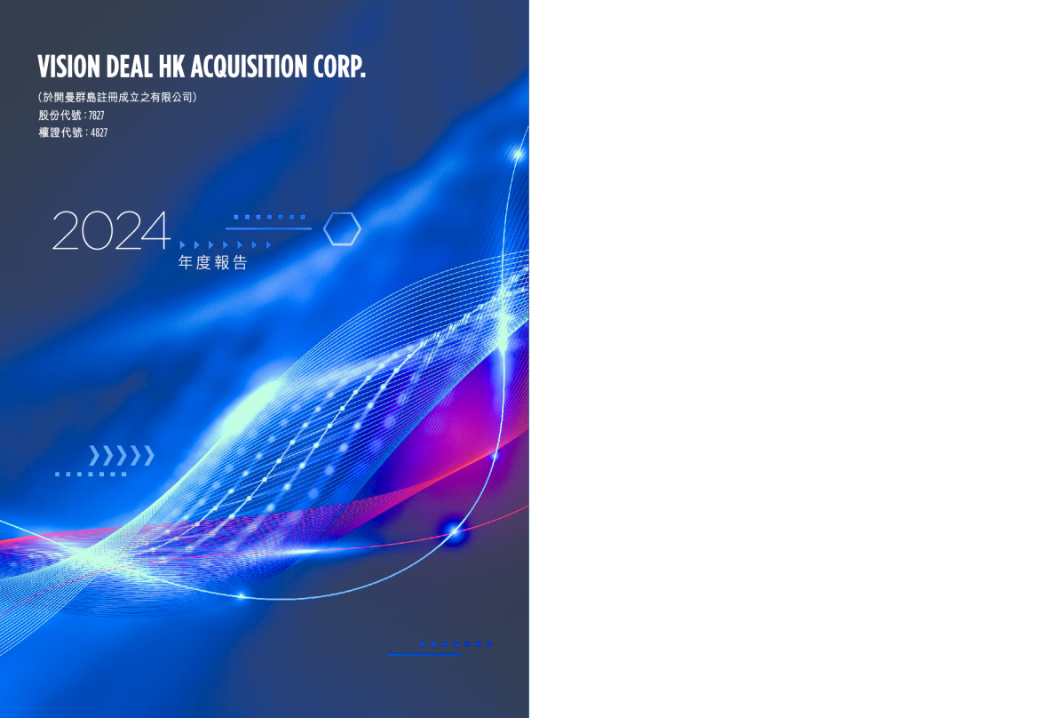 VISION DEAL-Z2024年度报告