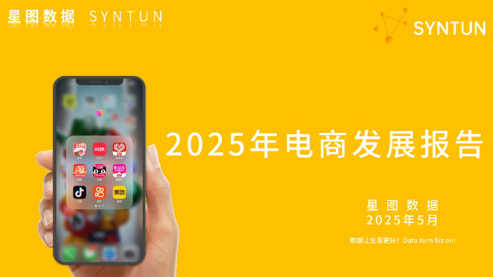 2025年电商发展报告