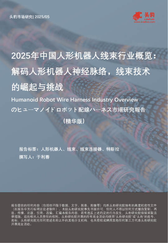 2025年中国人形机器人线束行业概览：解码人形机器人神经脉络，线束技术的崛起与挑战