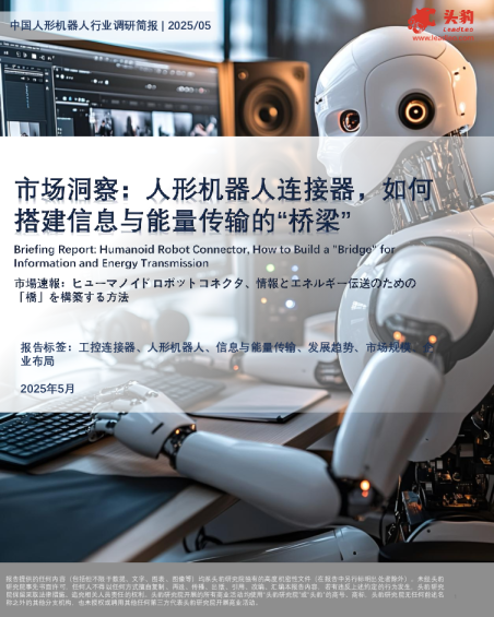 中国人形机器人行业调研简报