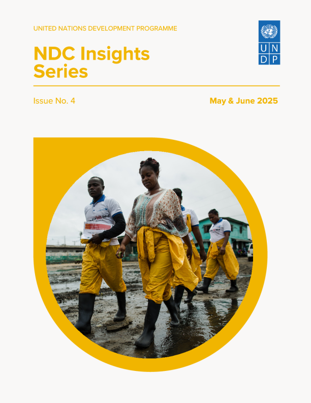 NDC洞察系列（英）6