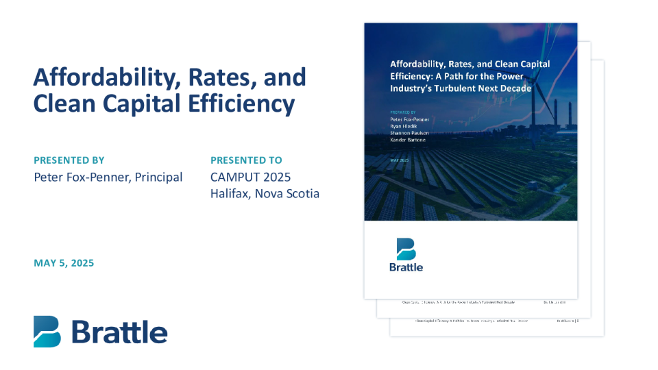 可负担性、利率和清洁资本效率