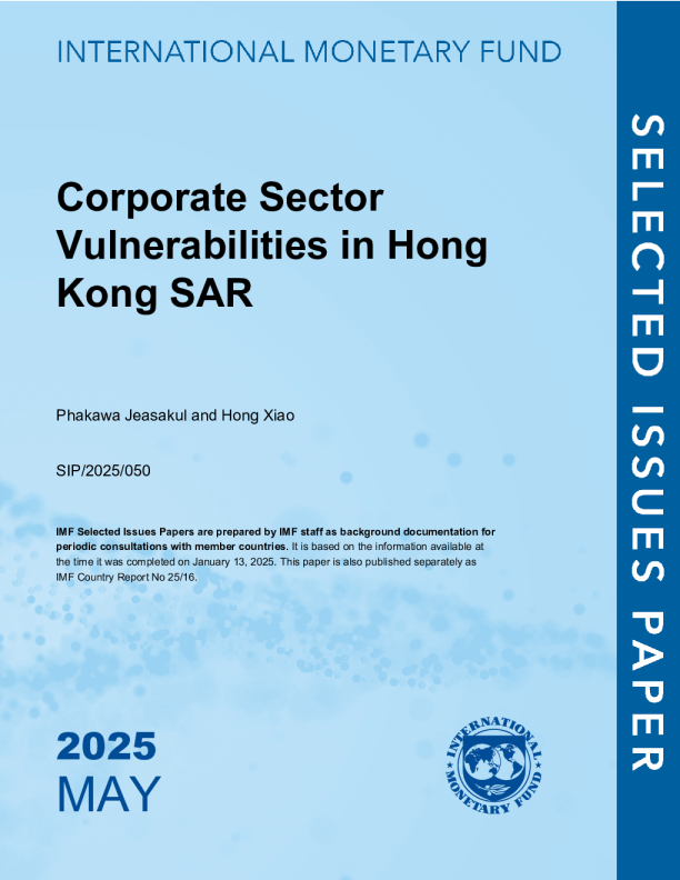 香港特别行政区企业部门脆弱性：香港特别行政区