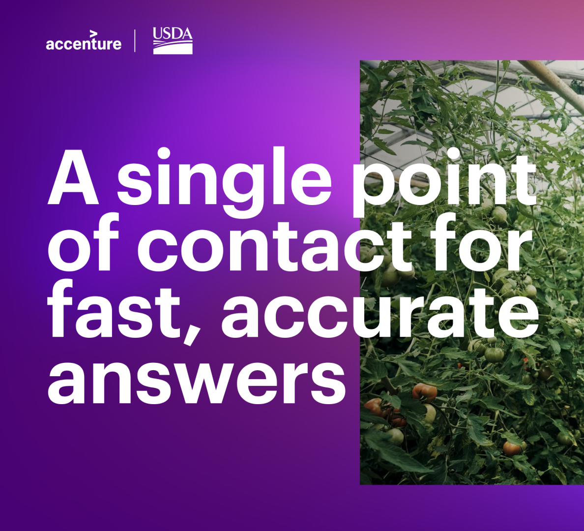 一个快速、准确答案的单一联系点