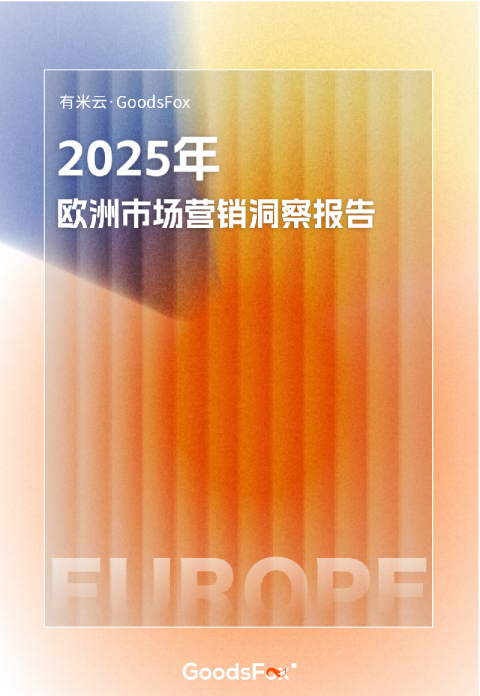 2025年欧洲电商市场营销洞察报告