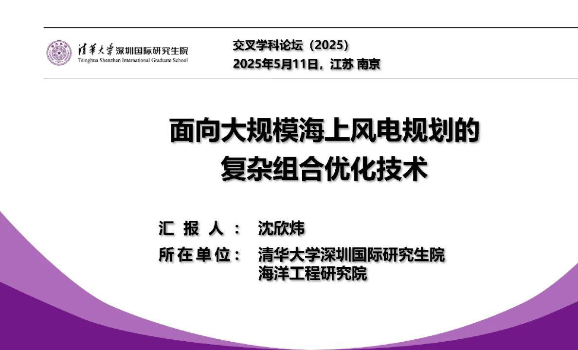 面向大规模海上风电规划的复杂组合优化技术