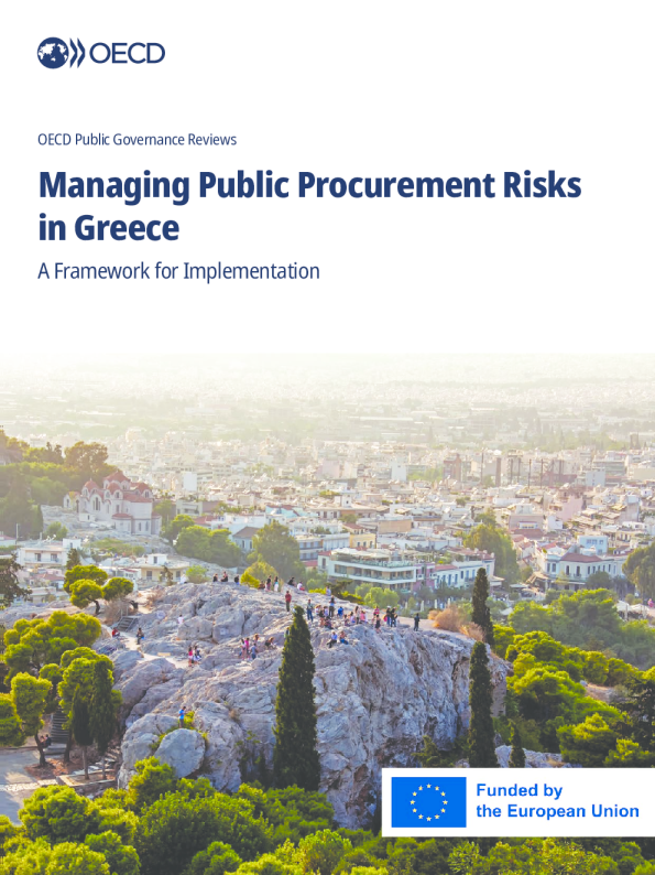 希腊公共采购风险管理：实施框架