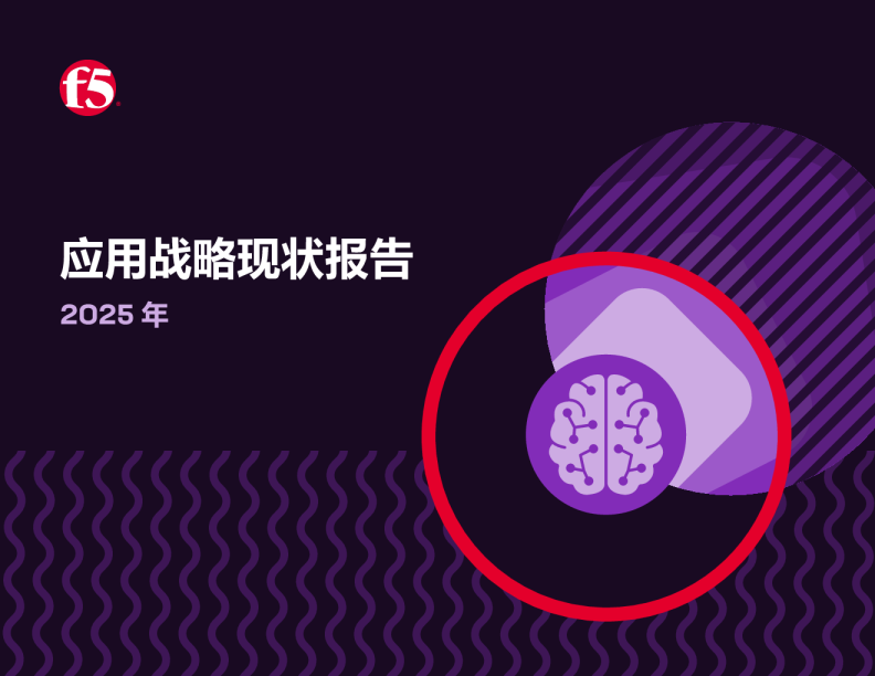 应用战略现状报告