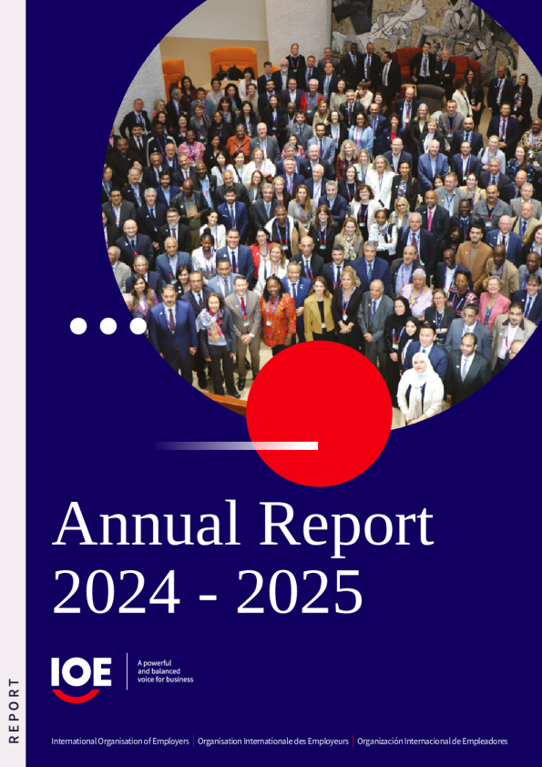 2024-2025年IOE年度报告