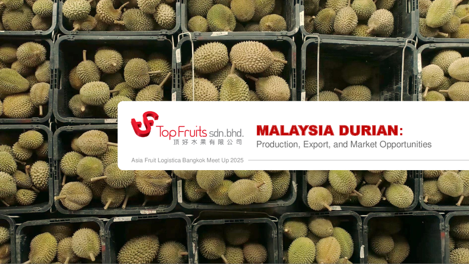 马来西亚榴莲:生产、出口及市场机会