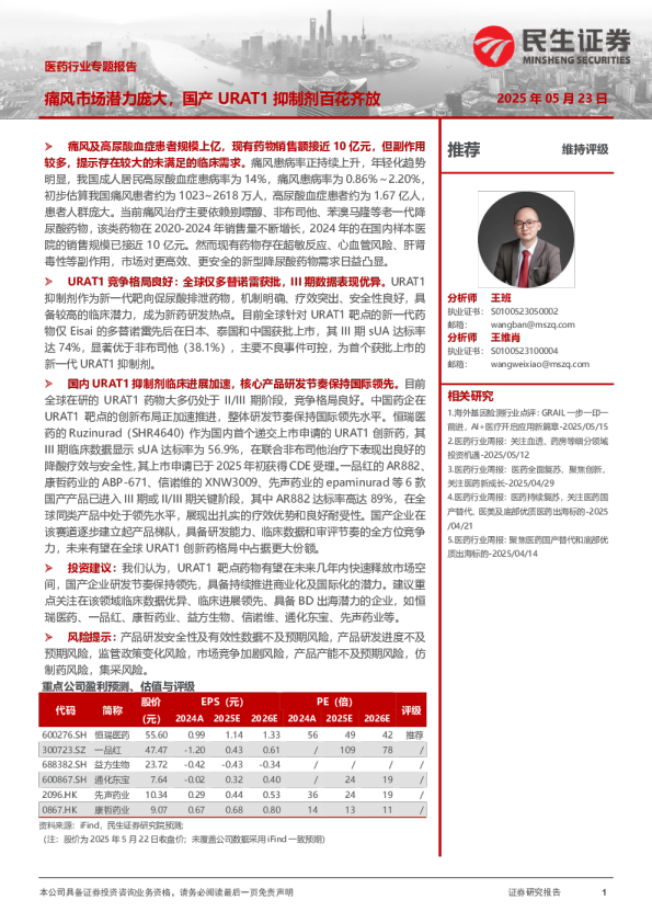 医药行业专题报告：痛风市场潜力庞大，国产URAT1抑制剂百花齐放