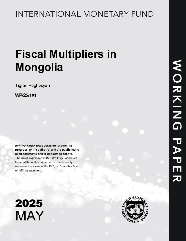 蒙古的财政乘数