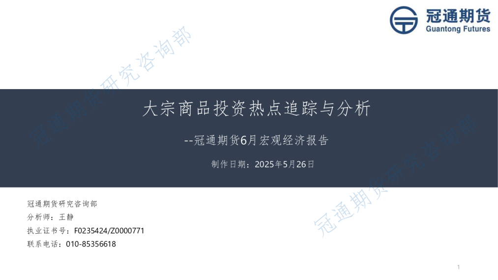 2025年6月宏观经济月度报告