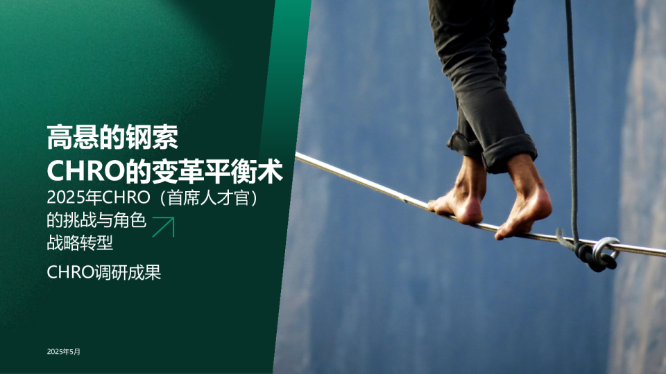 高悬的钢索 CHRO的变革平衡术