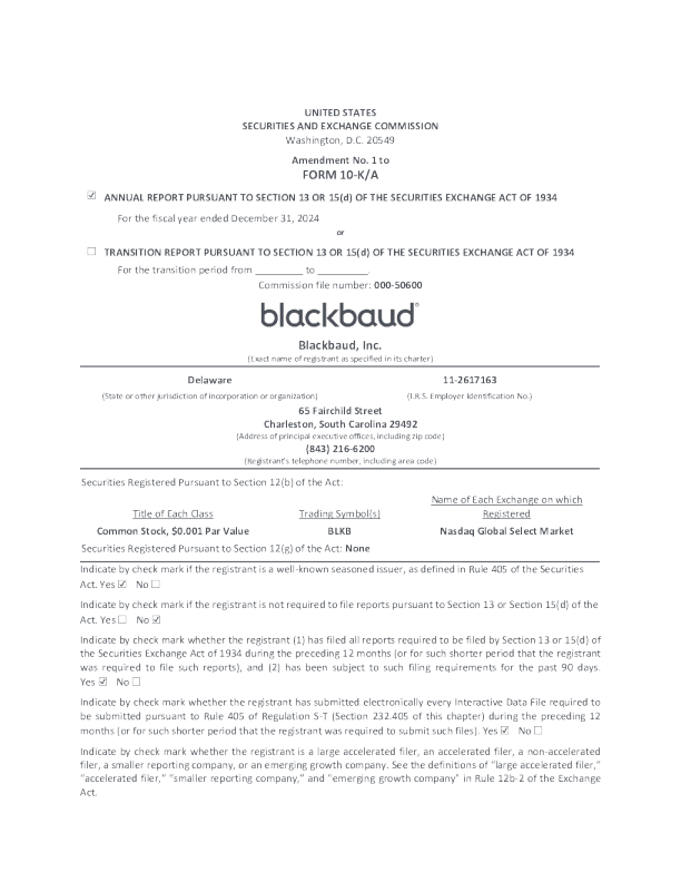 布莱克波特科技 2024年度报告