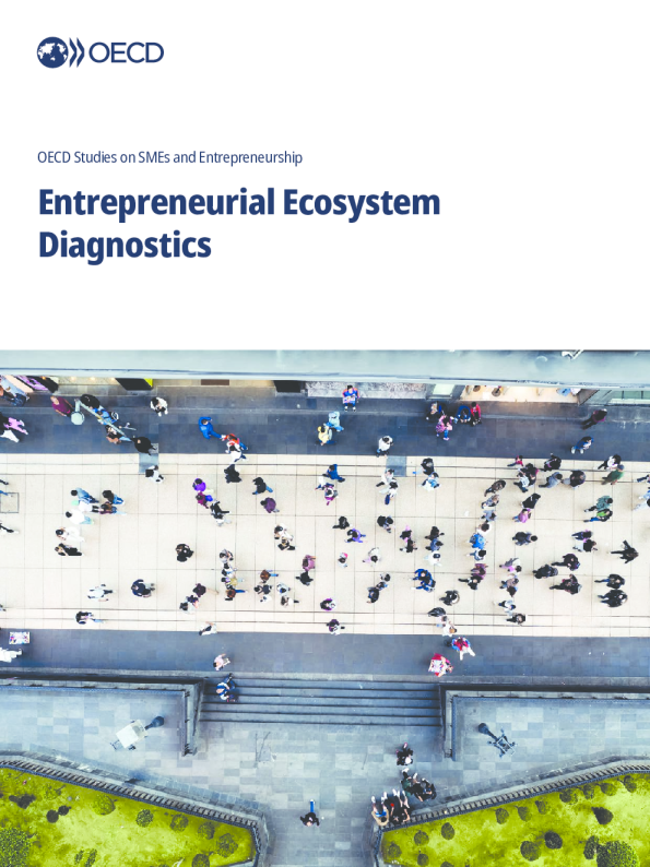 创业生态系统诊断