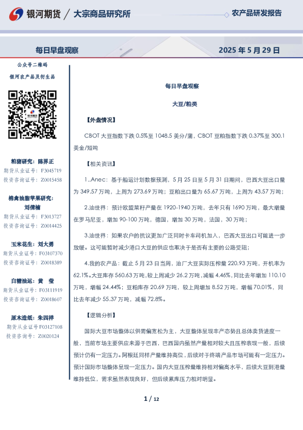 每日早盘观察