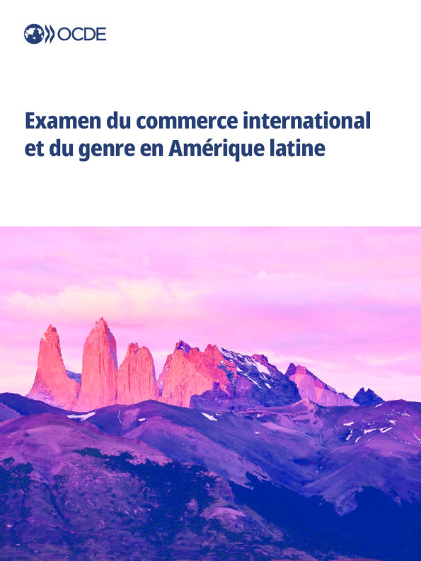 拉丁美洲的国际贸易和性别审查