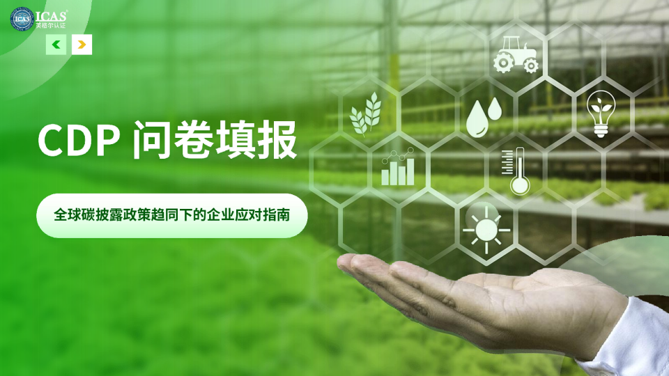 全球碳披露政策趋同下的企业应对指南