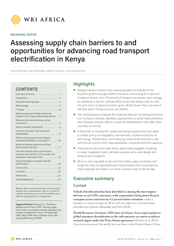 2025肯尼亚公路交通电气化进程中的供应链挑战与机遇评估报告