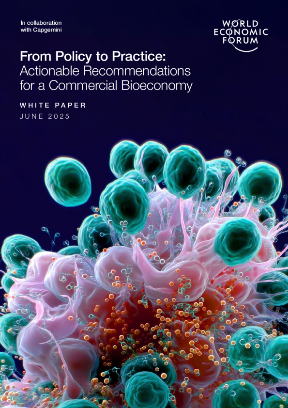 从政策到实践：商业生物经济的可行建议