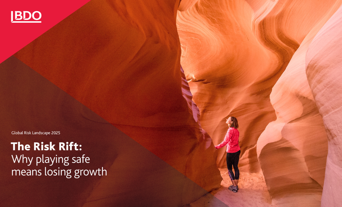 2025年全球风险格局：风险裂痕：求稳何以失增长