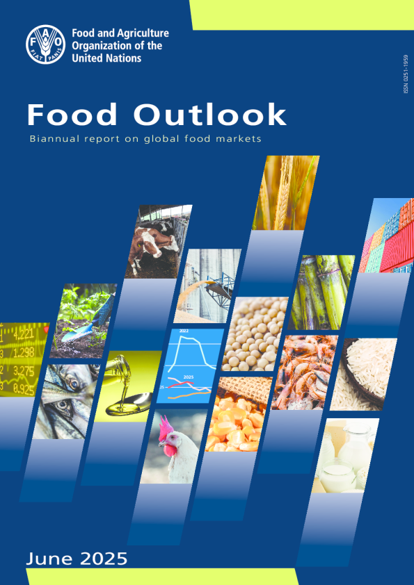 《粮食展望》——全球粮食市场半年度报告