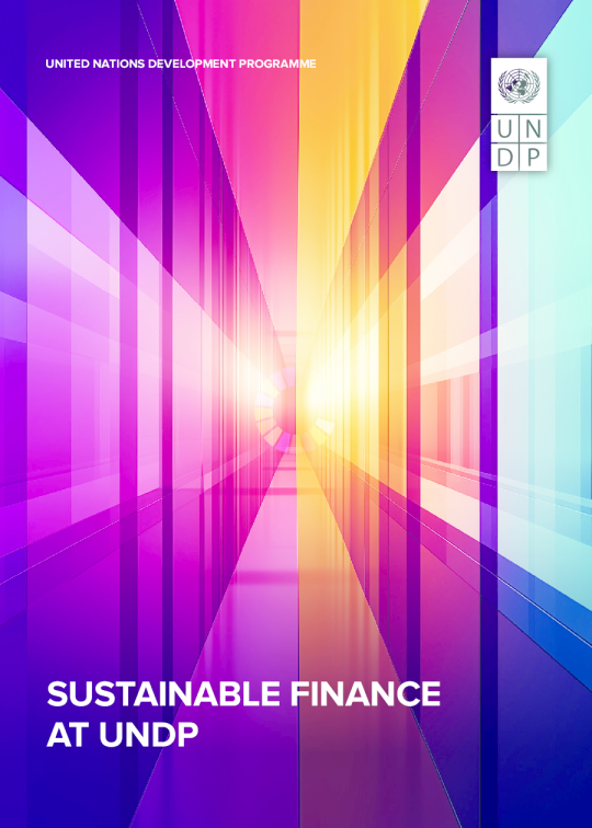 开发署的可持续金融