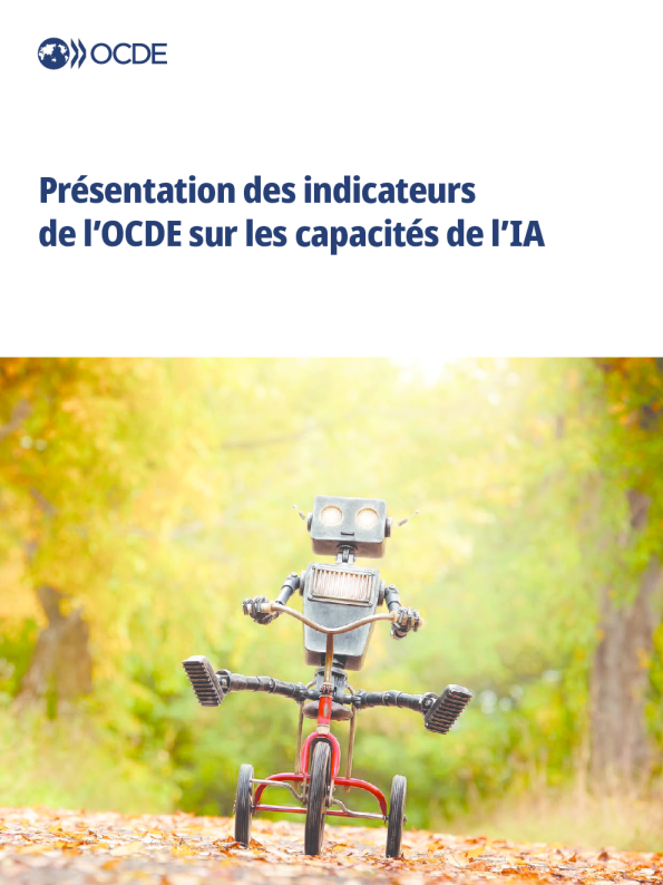 OCDE指标对IA能力的陈述