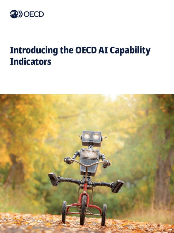 介绍经合组织人工智能能力指标