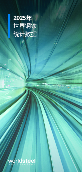 2025年世界钢铁统计数据